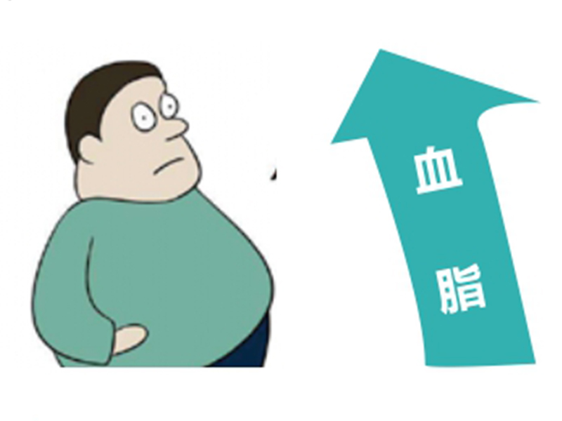 高血脂個(gè)體化用藥基因檢測